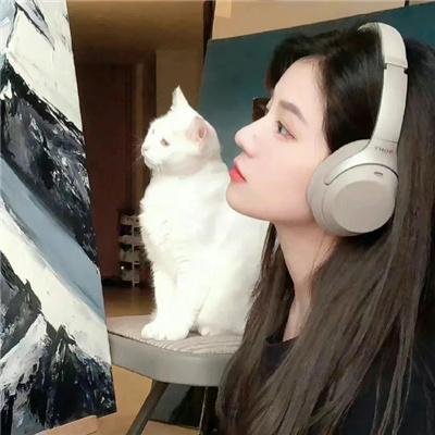 豪客